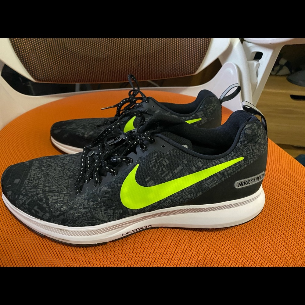 Nike Pegasus 34 Sheild